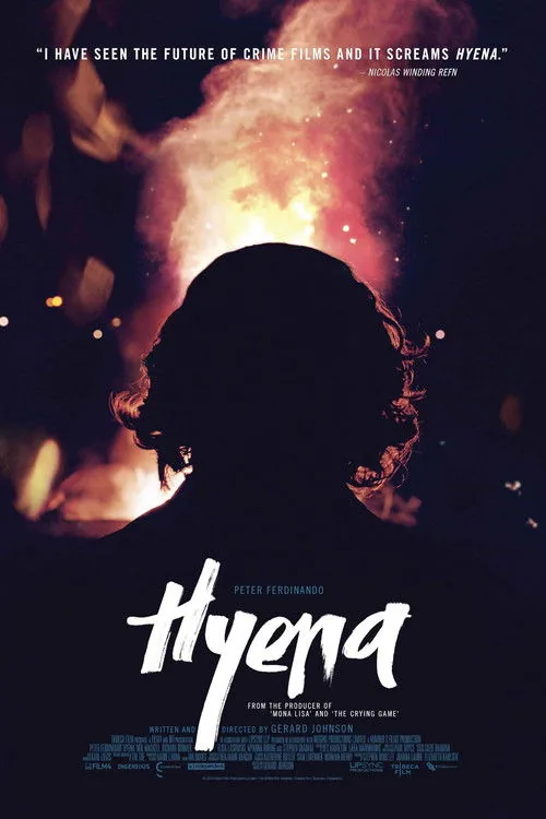Aynasız film afişi