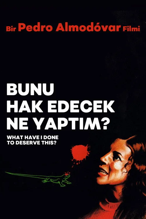Bunu Hakedecek Ne Yaptım? film afişi
