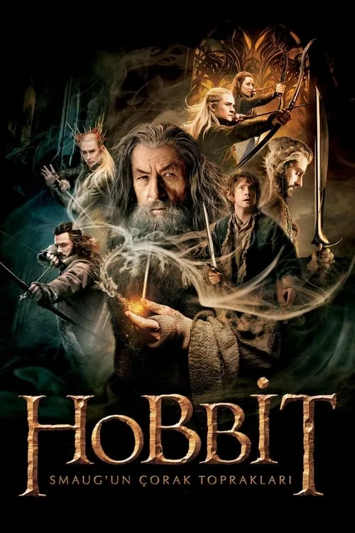 Hobbit: Smaug'un Çorak Toprakları film afişi