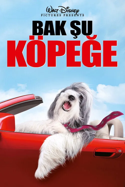 Bak Şu Köpeğe film afişi