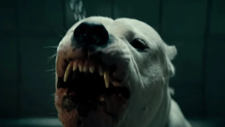 Dogman sahne 3