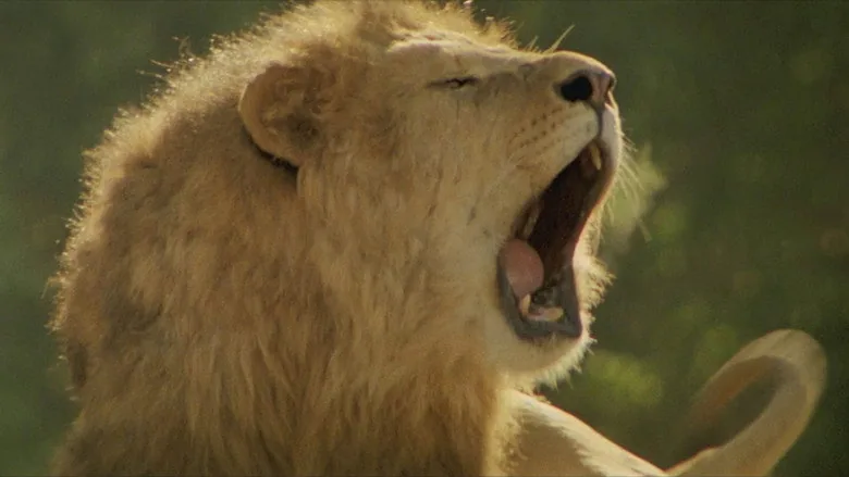 Roar sahne 4