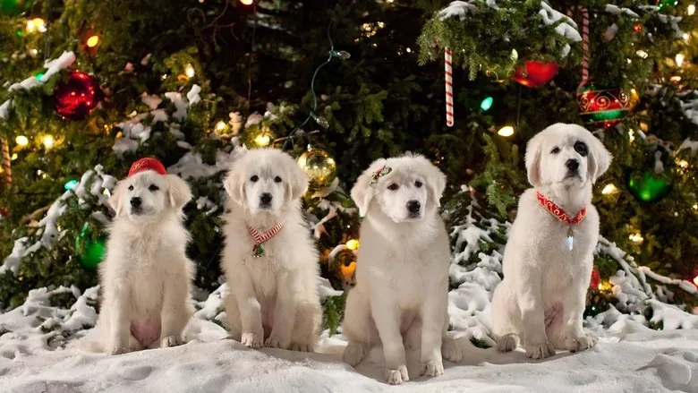 Yeni Yıl Köpekleri 2 sahne 2