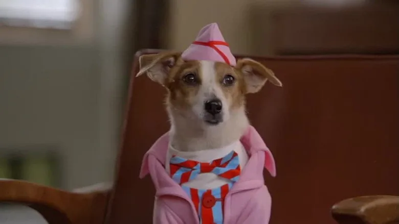 Yeni Yıl Köpekleri 2 sahne 3